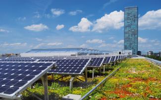 Green roof with photovoltaics